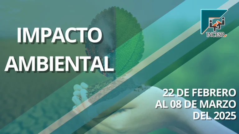 IMPACTO AMBIENTAL