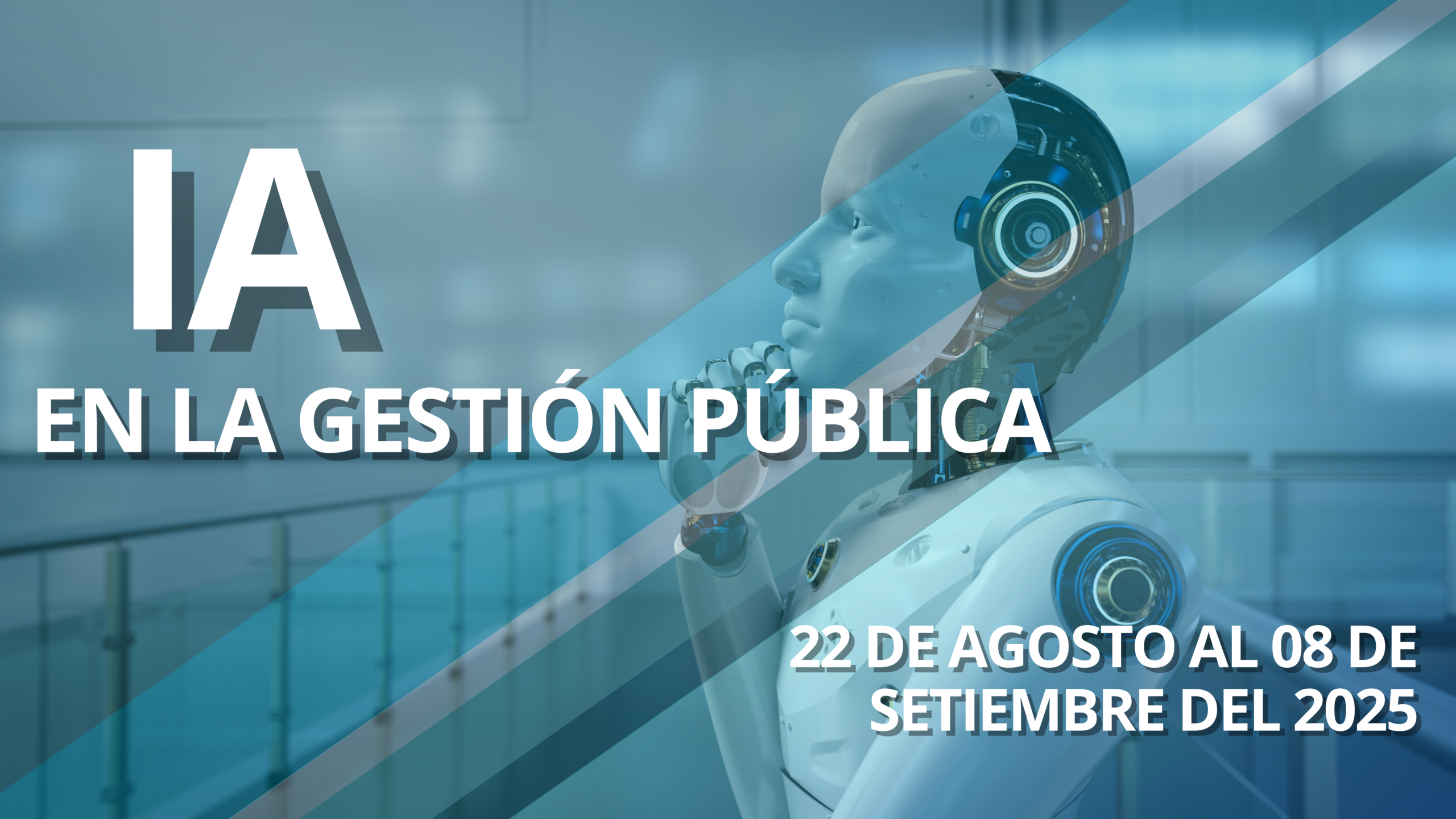 IA EN LA GESTIÓN PÚBLICA